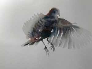 Veronika Zyzik – Buchfink im Anlauf