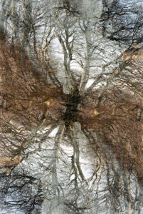 Ambech Ambech, 75 x 50 cm, Inventarnummer 1030237, Preis: 900€