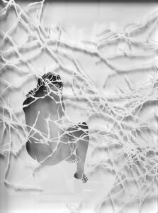 Esther Glück Geäst Esther Glück – Geäst (VG Bild Kunst, Bonn)