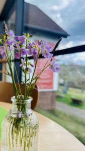 Kunst genießen und verweilen: Unser Café lädt ein zu hausgemachten Kuchen, feinen Torten und gutem Kaffee. Kunst genießen und verweilen: Unser Café lädt ein zu hausgemachten Kuchen, feinen Torten und gutem Kaffee.