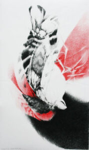 Carmen Stahlschmidt, Taubenschwänzchen