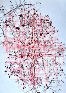 Baumäste, 100x70cm, 2022, gestickt auf Fotocollage (Fotos: VG Bild Kunst)