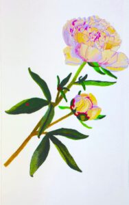 Pfingstrose, Wolle, Synthetik, 410x210x2 cm, Foto: Paul Schöpfer