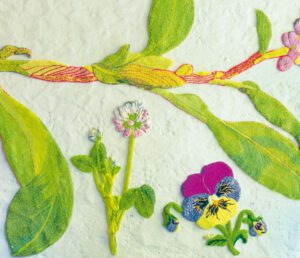 Wallflowers, Wolle, Synthetik, Foto: Dr. Rainer Burghardt