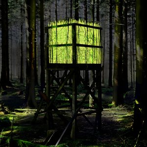 Hochsitz zwischen Fichten klein