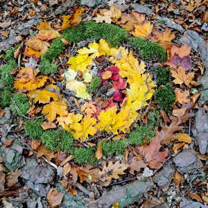 Land Art Projekt Junior-Rangergruppe Ebersburg3